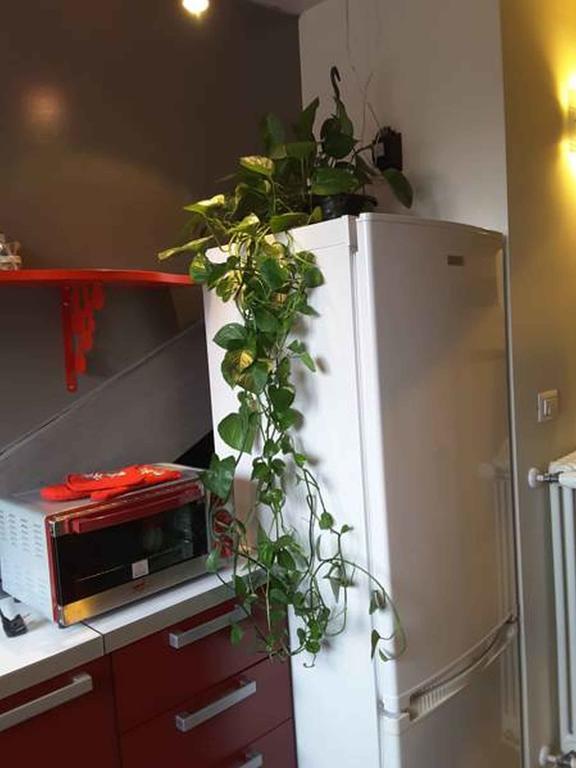 Nonno Pinin Apartment Turin Bagian luar foto